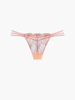 Beneath The Surface Embroidered Thong Panty -Fashion Lingerie Store BENEATH THE SURFACE EMBROIDERED THONG PANTY UD2355245 6623 LAYDOWN 1200x1600 1
