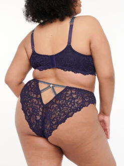 Framed In Denim Lace Brazilian Panty