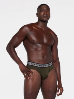 Going Platinum Briefs -Fashion Lingerie Store GOING PLATINUM BRIEFS UD2252797 3823 4 1200x1600 1