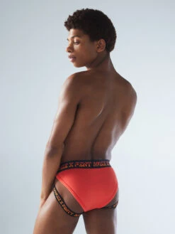 I Dare Hue Strapped Briefs 7 I Dare Hue Strapped Briefs -Fashion Lingerie Store I DARE HUE STRAPPED BRIEFS UD2354947 7493 3 1200x1600 1