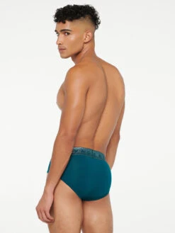 Night Cap Briefs -Fashion Lingerie Store NIGHT CAP BRIEFS UD2253610 4024 3 1200x1600 1