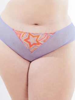 Shining Star Embroidered Cheeky -Fashion Lingerie Store SHINING STAR EMBROIDERED CHEEKY UD2147912 10094 3 1200x1600 1