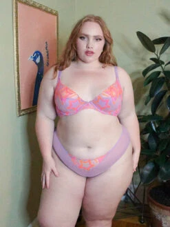 Shining Star Embroidered Cheeky -Fashion Lingerie Store SHINING STAR EMBROIDERED CHEEKY UD2147912 10094 5 1200x1600 1